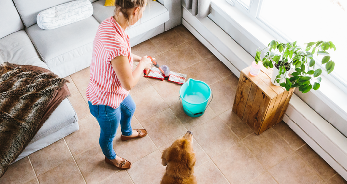 Household cleaners