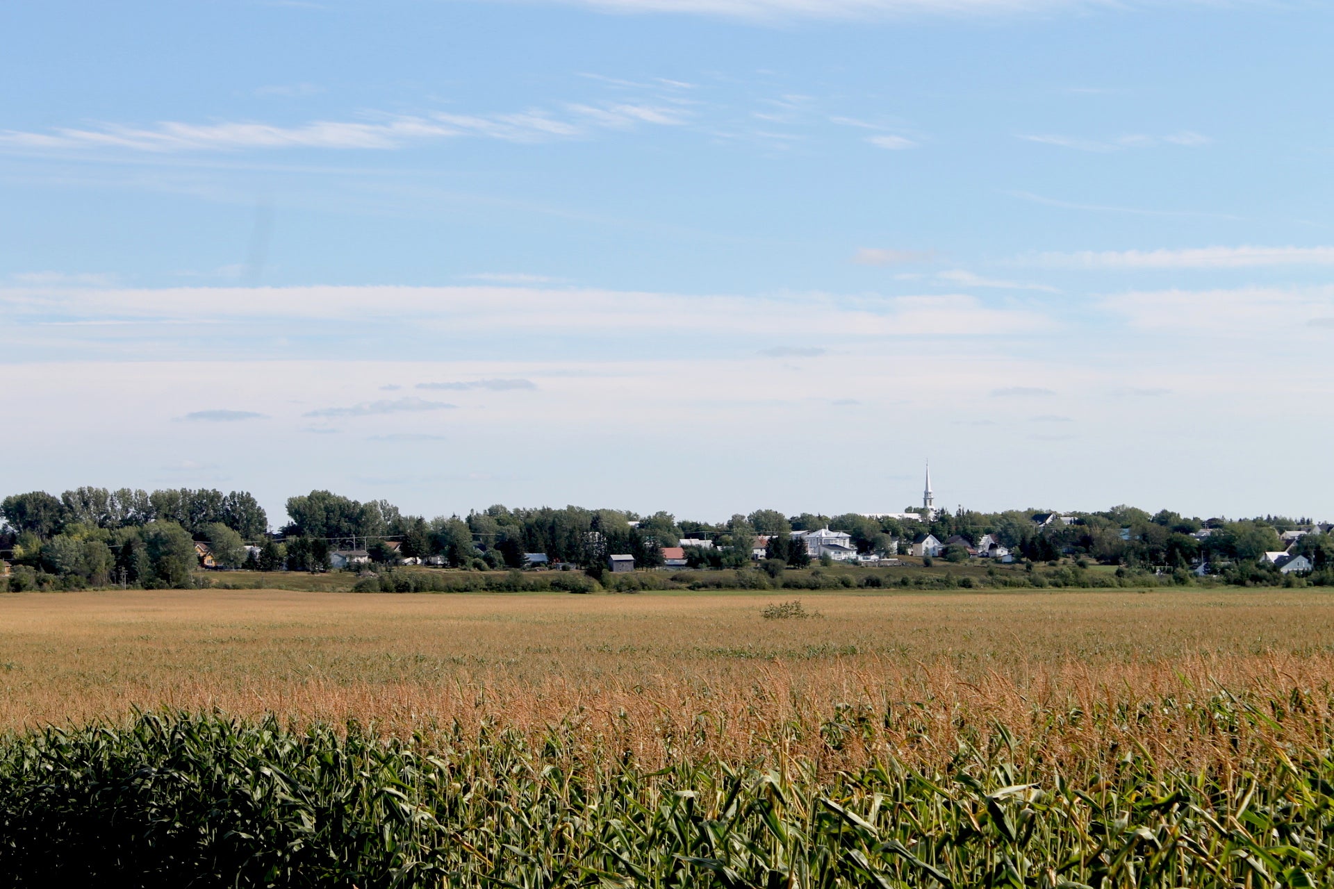 22 août 2020 : Jour du dépassement de la Terre