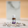 Fragrance Extract