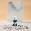 Fragrance Extract