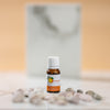 Fragrance Extract