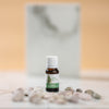 Essential Oils