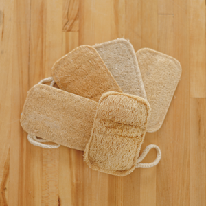 Loofah Sponge